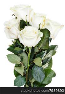 side view of bunch of white roses isolated on white background
