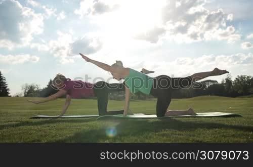Side view of elegant adult fit women practicing yoga poses and stretching while working out on exercise mats on park lawn over beautiful landscape background. Senior females doing bird dog balance exercise, downward and upward facing dog, child pose