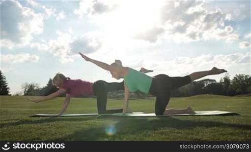 Side view of elegant adult fit women practicing yoga poses and stretching while working out on exercise mats on park lawn over beautiful landscape background. Senior females doing bird dog balance exercise, downward and upward facing dog, child pose