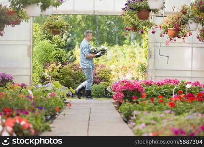 Side view of gardener carrying crate with flower pots while walking outside greenhouse