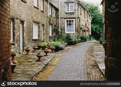 Side view of houses beside a cobblestone pavement, Burford, England