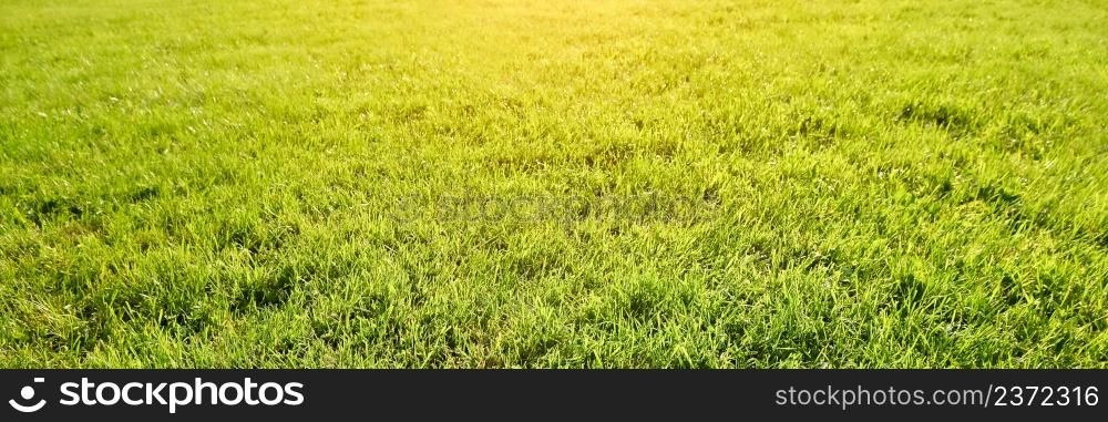 Side view on long and bright green grass texture. Green field with beautiful sun flare. Long banner.. Side view on long and bright green grass texture. Green field with beautiful sun flare. Long banner