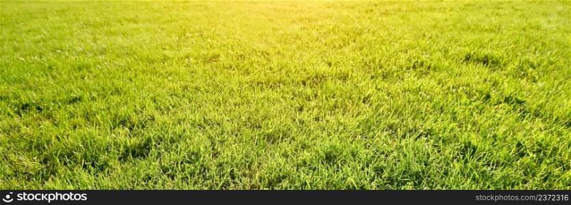 Side view on long and bright green grass texture. Green field with beautiful sun flare. Long banner.. Side view on long and bright green grass texture. Green field with beautiful sun flare. Long banner