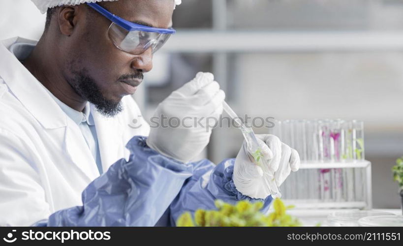 side view researcher biotechnology laboratory with plant test tube