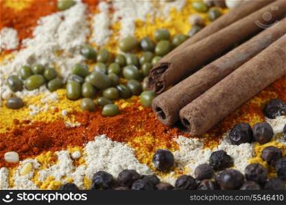 Side view showing cinnamon sticks, black pepper, mung beans, fenugreek, chilli and turmeric powders