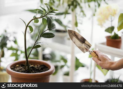 side view woman cultivating plant holding trowel