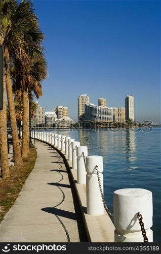 Sidewalk along the sea, Miami, Florida, USA