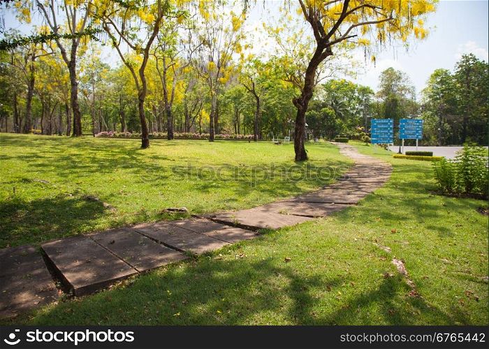 Sidewalk in the park. With shady trees and lawns for relaxing.