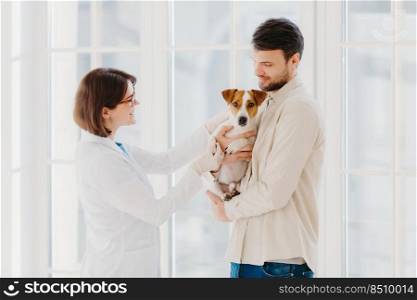 Sideways shot of veterinary woman going to examine sick dog. Jack russell terrier dog and his owner come to vet clinic, need help to cure disease, stand against window. Taking care of animals