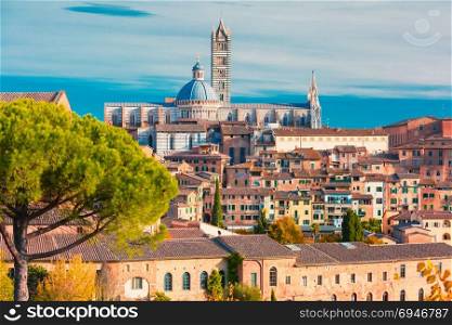 Siena Cathedral in the sunny day, Tuscany, Italy. Beautiful view of Dome and campanile of Siena Cathedral, Duomo di Siena, and Old Town of medieval city of Siena in the sunny day, Tuscany, Italy