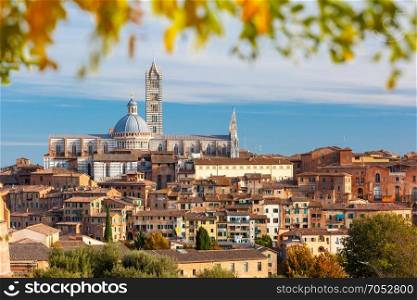 Siena Cathedral in the sunny day, Tuscany, Italy. Beautiful view of Dome and campanile of Siena Cathedral, Duomo di Siena, and Old Town of medieval city of Siena in the sunny day through autumn leaves, Tuscany, Italy