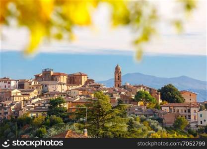 Siena Old Town in the sunny day, Tuscany, Italy. Beautiful view of church and Old Town of medieval city of Siena in the sunny day through autumn leaves, Tuscany, Italy