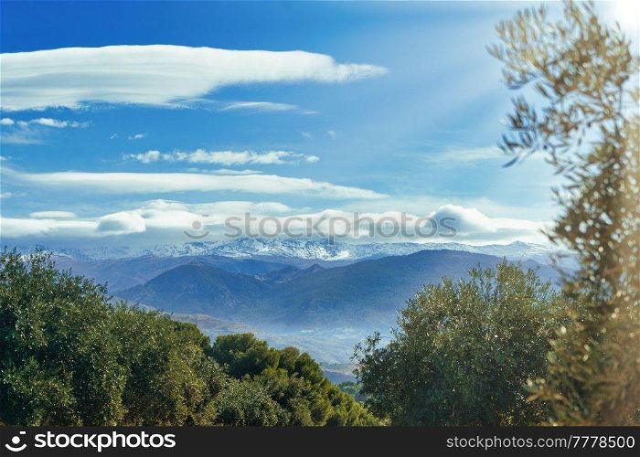 Sierra Nevada as seen from the olive groves in the Llano de la Perdiz in Granada, Andalusia, Spain.. Sierra Nevada as seen from the olive groves in the Llano de la Perdiz in Granada