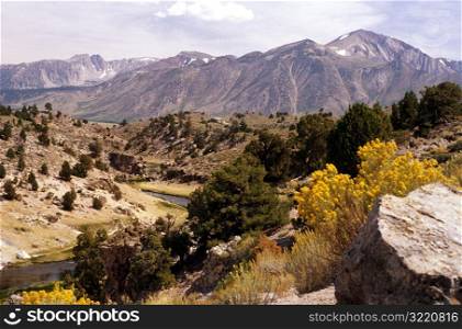 Sierra Nevada Mountains CA