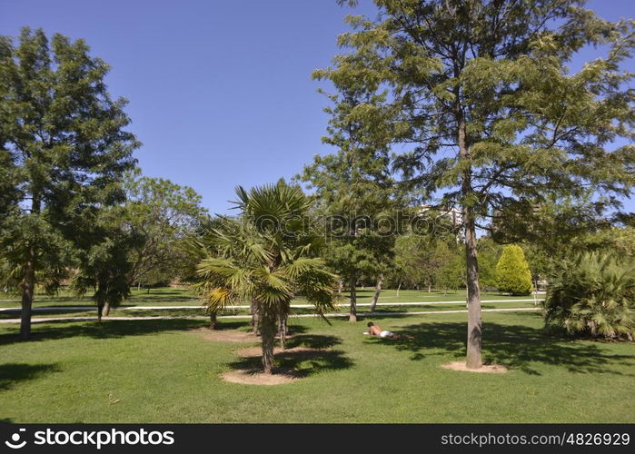 siesta in Valencia Park