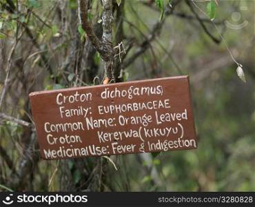 Sign identifying vegetation in Kenya Africa