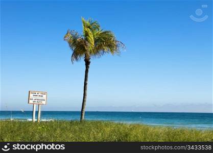 Sign in Miami titled Swim At Your Own Risk, No Lifeguard On Duty with a single palm tree on an otherwise empty beach with the ocean in the distance.