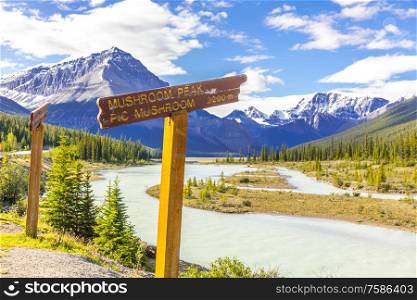 Sign pointing at Mushroom Peak at the Canadian Rockies with Mountain scenery and Athabasca river in the back, Alberta