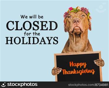 Signboard that says We will be closed on Thanksgiving. Charming brown puppy and bright background. Close-up, indoors. Studio shot. Pet care concept. Signboard with the inscription We will be closed