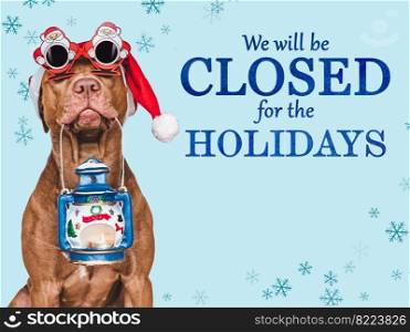 Signboard with the inscription We will be closed for the Holidays. Charming brown dog and Christmas decorations. Close-up, indoors. Studio shot. Pet care concept. Sign for shop, store and sales. We will be closed for the Holidays