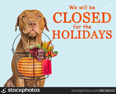 Signboard with the inscription We will be closed for the Holidays. Charming brown dog and bright background. Close-up, indoors. Studio shot. Pet care concept. Lovely brown puppy and ripe, juicy pumpkin