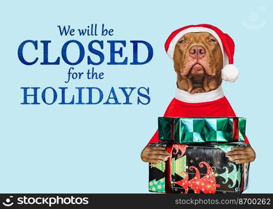 Signboard with the inscription We will be closed for the Holidays. Charming brown dog and Christmas decorations. Close-up, indoors. Studio shot. Pet care concept. Sign for shop, store and sales. We will be closed for the Holidays