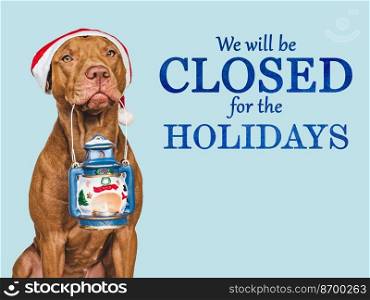 Signboard with the inscription We will be closed for the Holidays. Charming brown dog and Christmas decorations. Close-up, indoors. Studio shot. Pet care concept. Sign for shop, store and sales. We will be closed for the Holidays