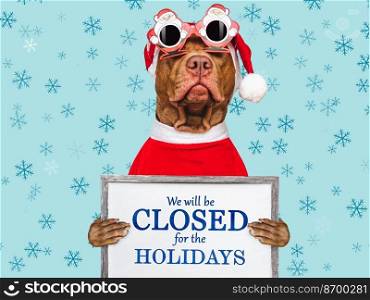 Signboard with the inscription We will be closed for the Holidays. Charming brown puppy and Santa costume. Close-up, indoors. Studio shot. Pet care concept. Sign for shop, store and sales. We will be closed for the Holidays