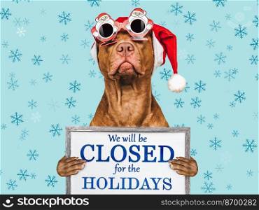Signboard with the inscription We will be closed for the Holidays. Charming brown puppy and Santa costume. Close-up, indoors. Studio shot. Pet care concept. Sign for shop, store and sales. We will be closed for the Holidays
