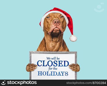 Signboard with the inscription We will be closed for the Holidays. Charming brown puppy and Santa costume. Close-up, indoors. Studio shot. Pet care concept. Sign for shop, store and sales. We will be closed for the Holidays