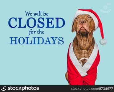 Signboard with the inscription We will be closed for the Holidays. Charming brown dog and Christmas decorations. Close-up, indoors. Studio shot. Pet care concept. Sign for shop, store and sales. We will be closed for the Holidays