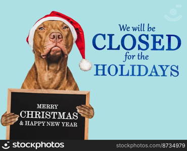 Signboard with the inscription We will be closed for the Holidays. Charming brown puppy and Santa costume. Close-up, indoors. Studio shot. Pet care concept. Sign for shop, store and sales. We will be closed for the Holidays