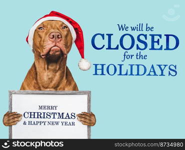 Signboard with the inscription We will be closed for the Holidays. Charming brown puppy and Santa costume. Close-up, indoors. Studio shot. Pet care concept. Sign for shop, store and sales. We will be closed for the Holidays