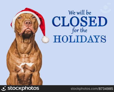 Signboard with the inscription We will be closed for the Holidays. Charming brown dog and Christmas decorations. Close-up, indoors. Studio shot. Pet care concept. Sign for shop, store and sales. We will be closed for the Holidays