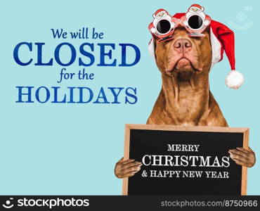 Signboard with the inscription We will be closed for the Holidays. Charming brown puppy and Santa costume. Close-up, indoors. Studio shot. Pet care concept. Sign for shop, store and sales. We will be closed for the Holidays