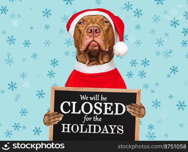 Signboard with the inscription We will be closed for the Holidays. Charming brown puppy and Santa costume. Close-up, indoors. Studio shot. Pet care concept. Sign for shop, store and sales. We will be closed for the Holidays