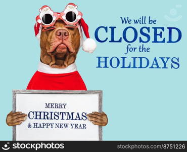 Signboard with the inscription We will be closed for the Holidays. Charming brown puppy and Santa costume. Close-up, indoors. Studio shot. Pet care concept. Sign for shop, store and sales. We will be closed for the Holidays