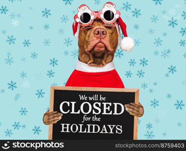 Signboard with the inscription We will be closed for the Holidays. Charming brown puppy and Santa costume. Close-up, indoors. Studio shot. Pet care concept. Sign for shop, store and sales. We will be closed for the Holidays