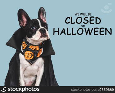 Signboard with the inscription We will be closed on Halloween. Cute puppy dog and Count Dracula costume. Closeup, indoors. Studio shot. Pet care concept. Signboard with the inscription We will be closed on Halloween