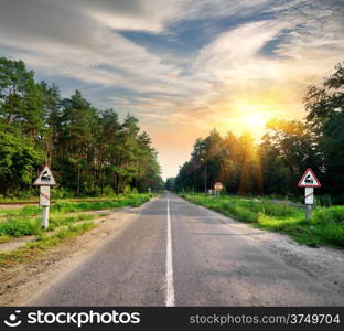 Signs on the road in the forest