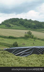 Silage pit with a view of a tractor turning grass for silage in the background