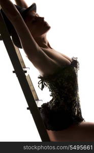 silhouette backlight picture of sexy woman with ladder