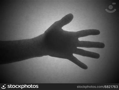 Silhouette behind a transparent paper - Open hand