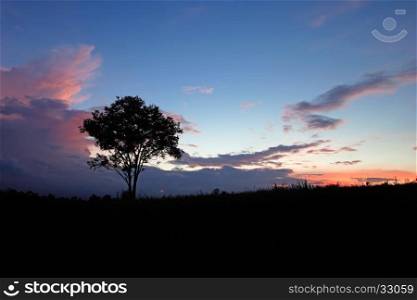 silhouette big tree on the hill with beautiful sky background