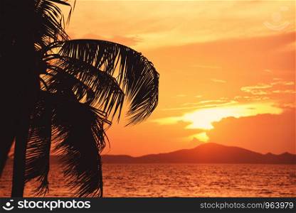 silhouette coconut palm tree sunset ocean on the tropical beach sea summer orange sky and islands mountain background