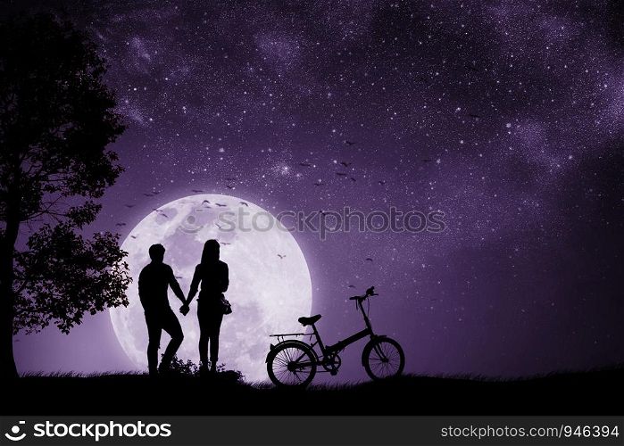 Silhouette couple man and woman holding hand Full moon night With a Bicycle and birds that fly back to the nest. Mixed media. Proton purple.