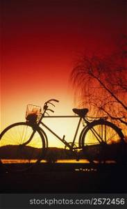 Silhouette of a bicycle