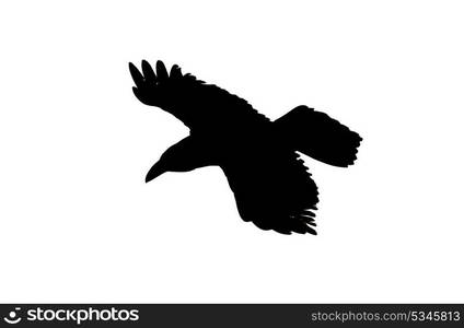 Silhouette of a bird in flight isolated on a white background