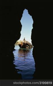 Silhouette of a cave, Treasure Island, Virgin Islands