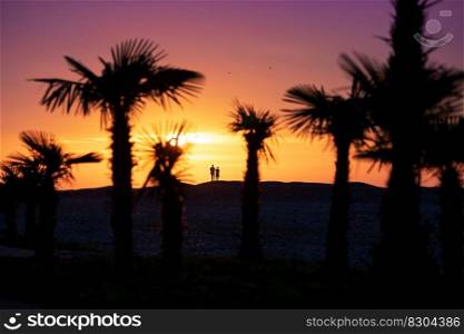 Silhouette of a couple on a tropical beach at sunset.